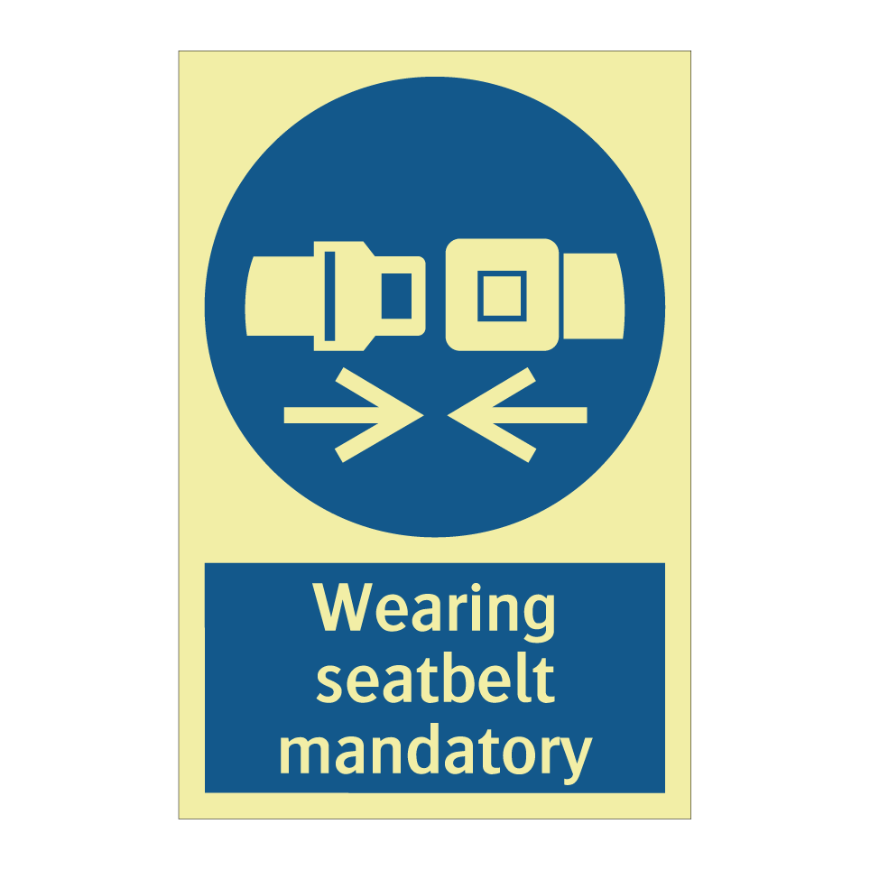 Wearing seatbelt mandatory