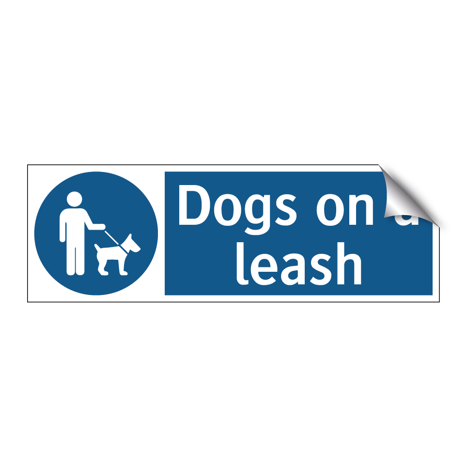 Dogs on a leash