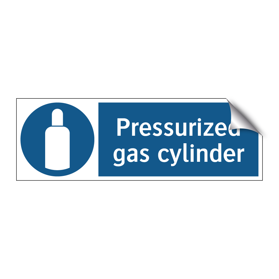 Pressurized gas cylinder