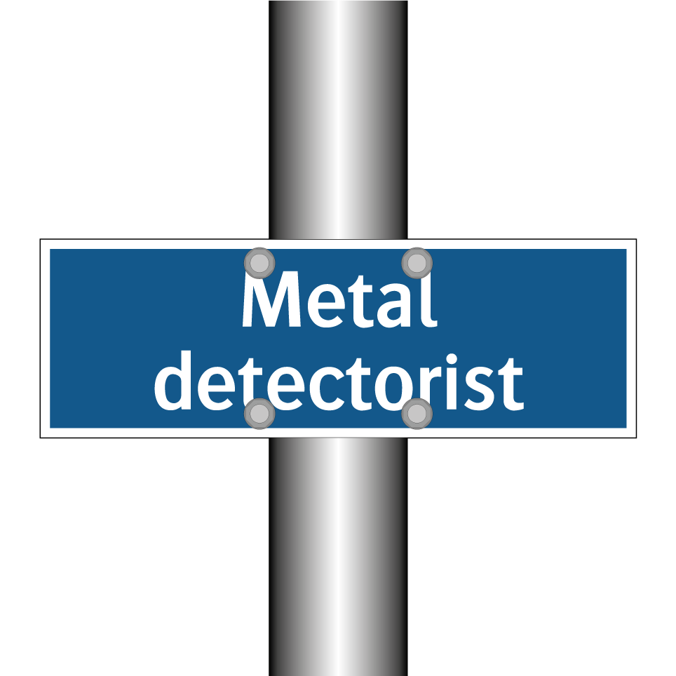 Metal detectorist