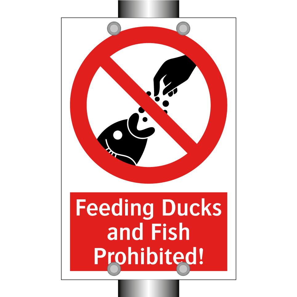 Feeding Ducks and Fish Prohibited!