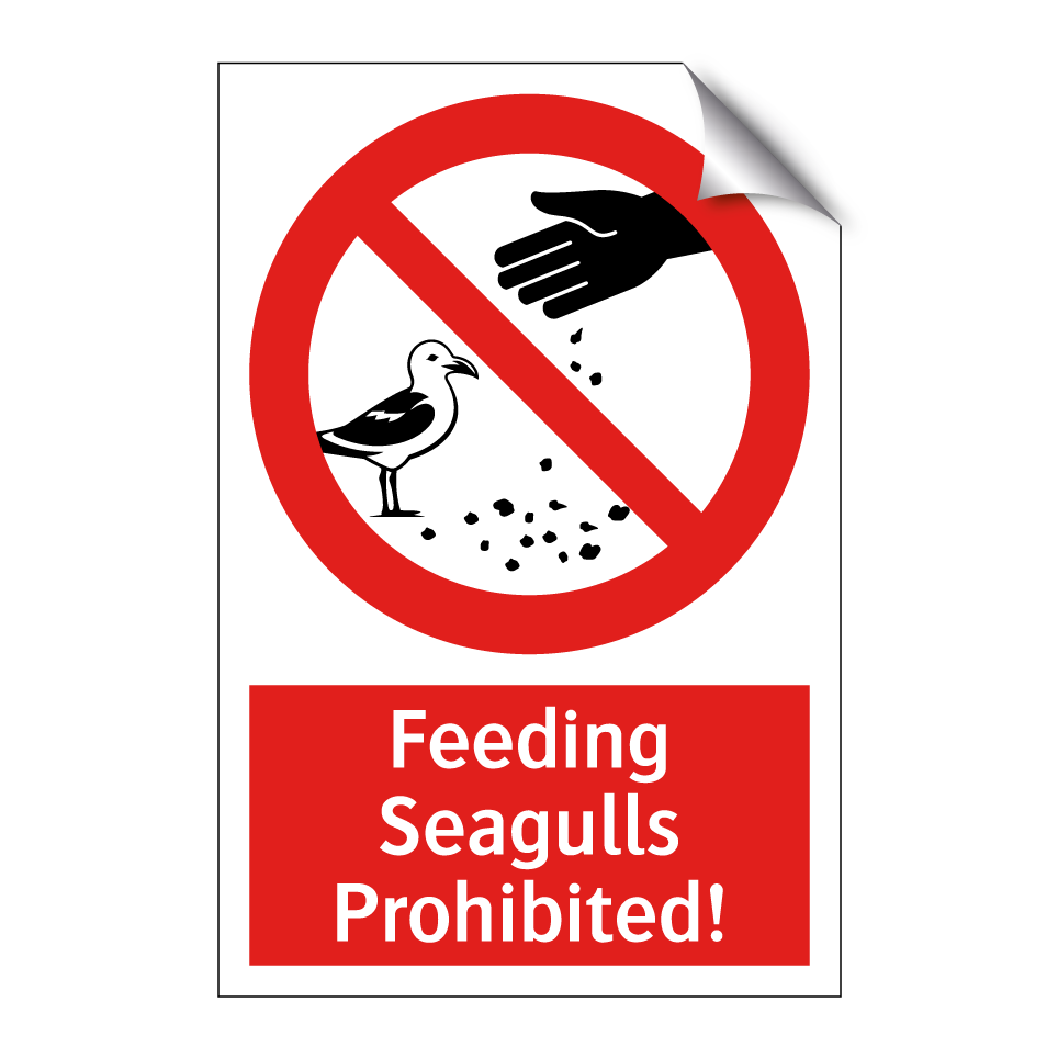Feeding Seagulls Prohibited!