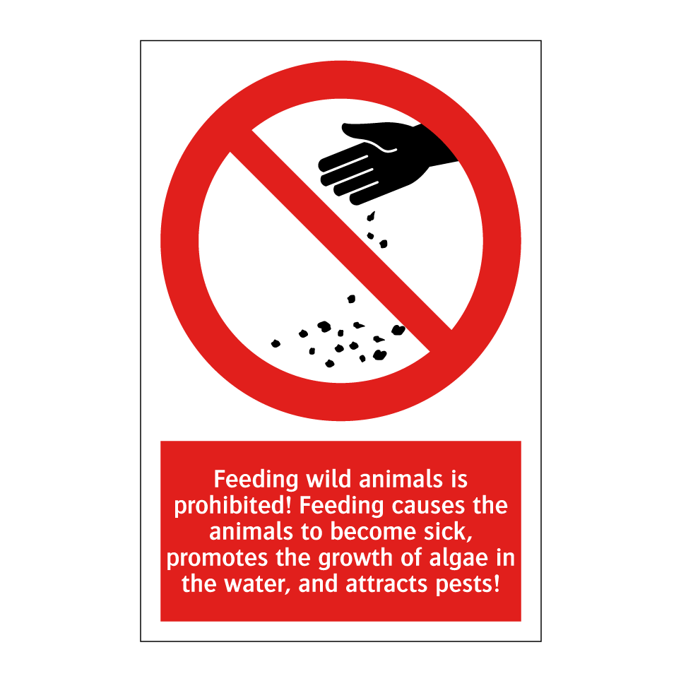 Feeding wild animals is prohibited! Feeding causes the animals to become sick, promotes the growth of algae in the water, and attracts pests!