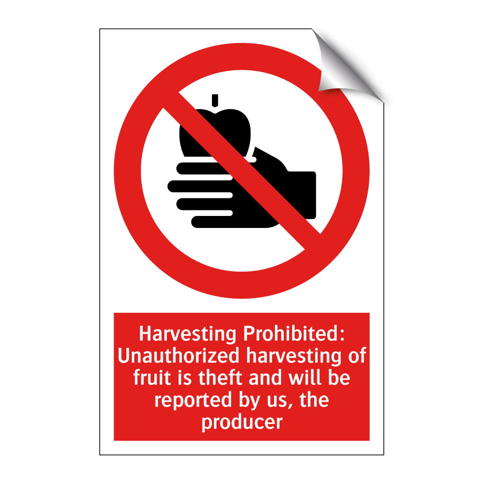 Harvesting Prohibited: Unauthorized harvesting of fruit is theft and will be reported by us, the producer