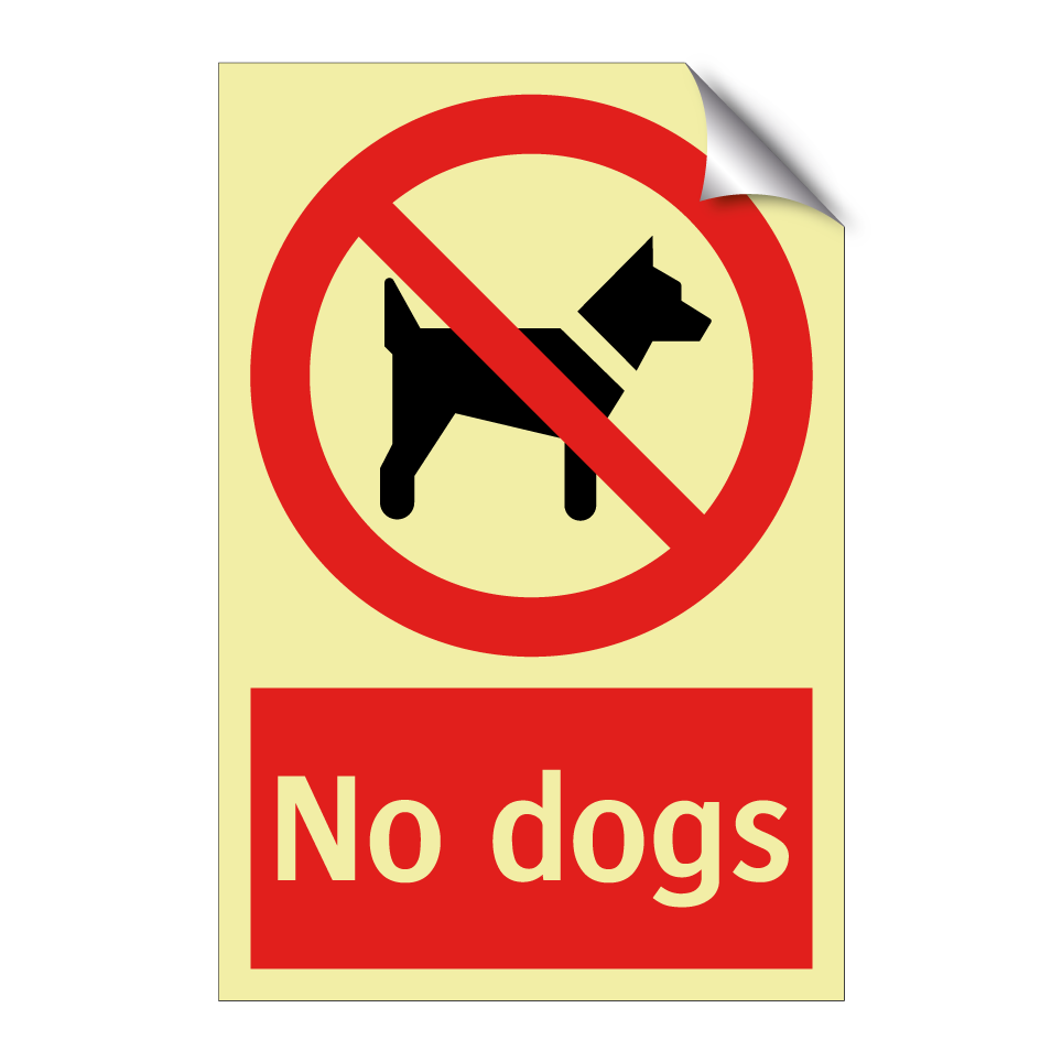 No dogs