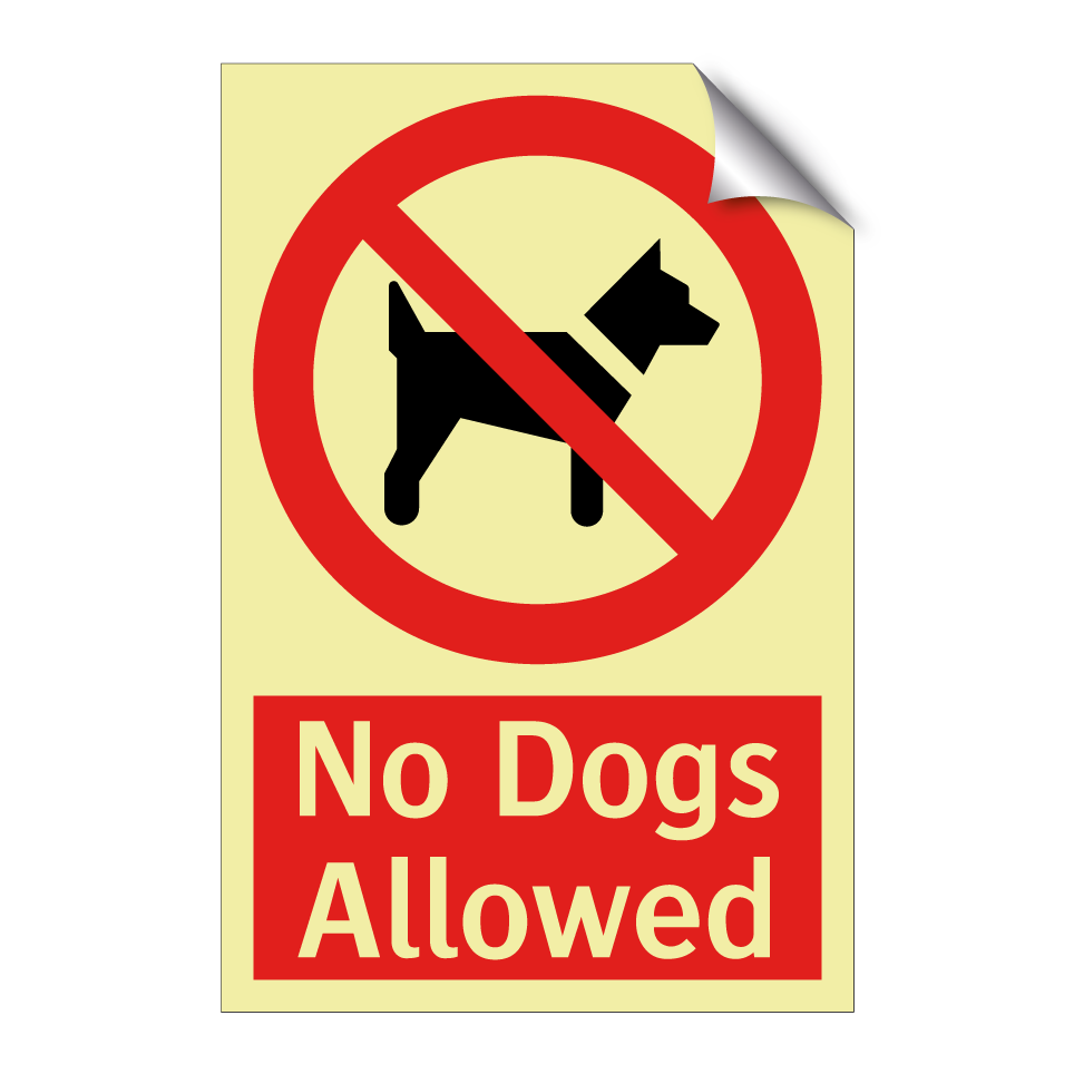 No Dogs Allowed