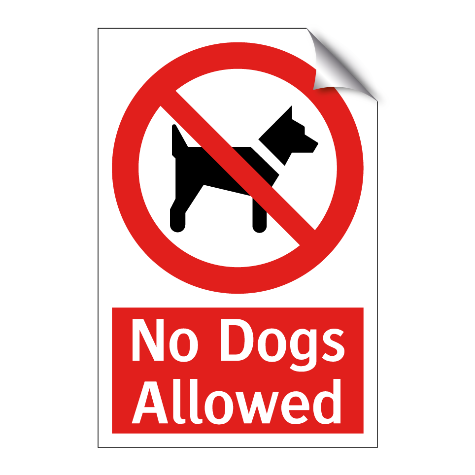 No Dogs Allowed