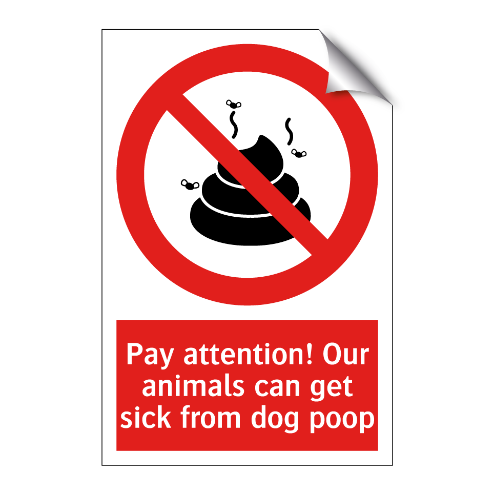 Pay attention! Our animals can get sick from dog poop