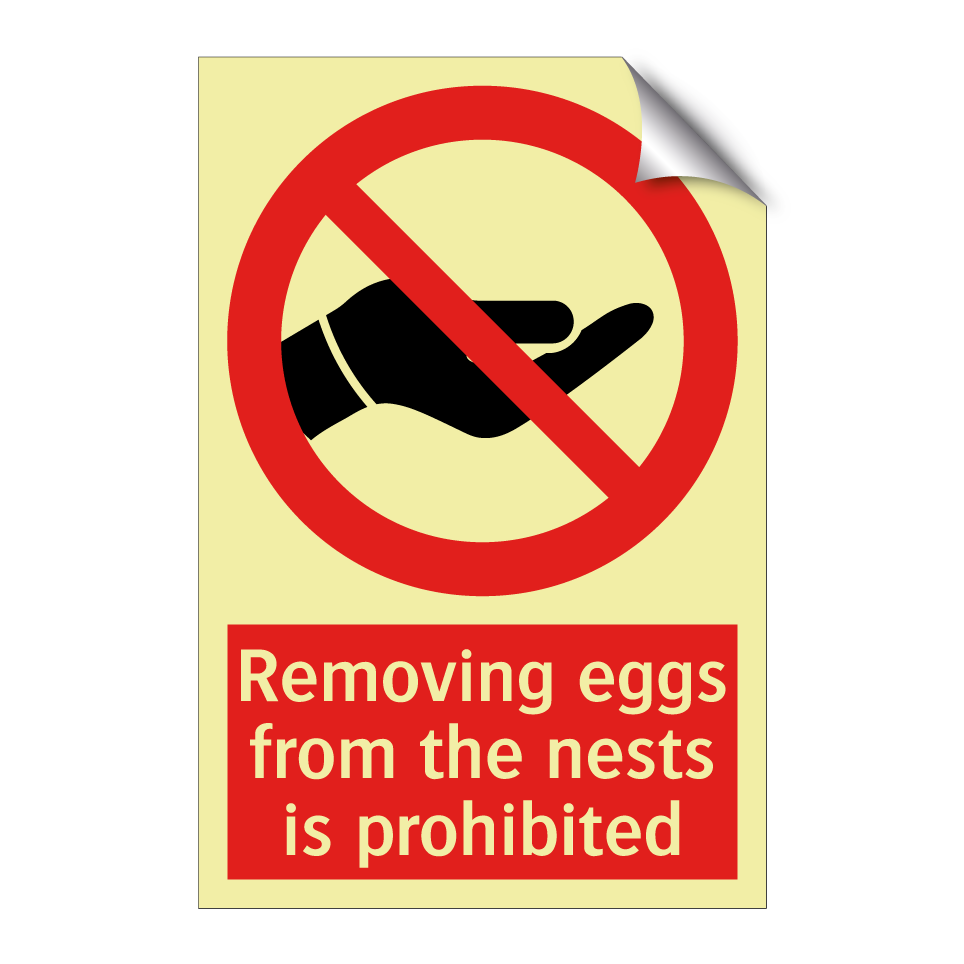 Removing eggs from the nests is prohibited