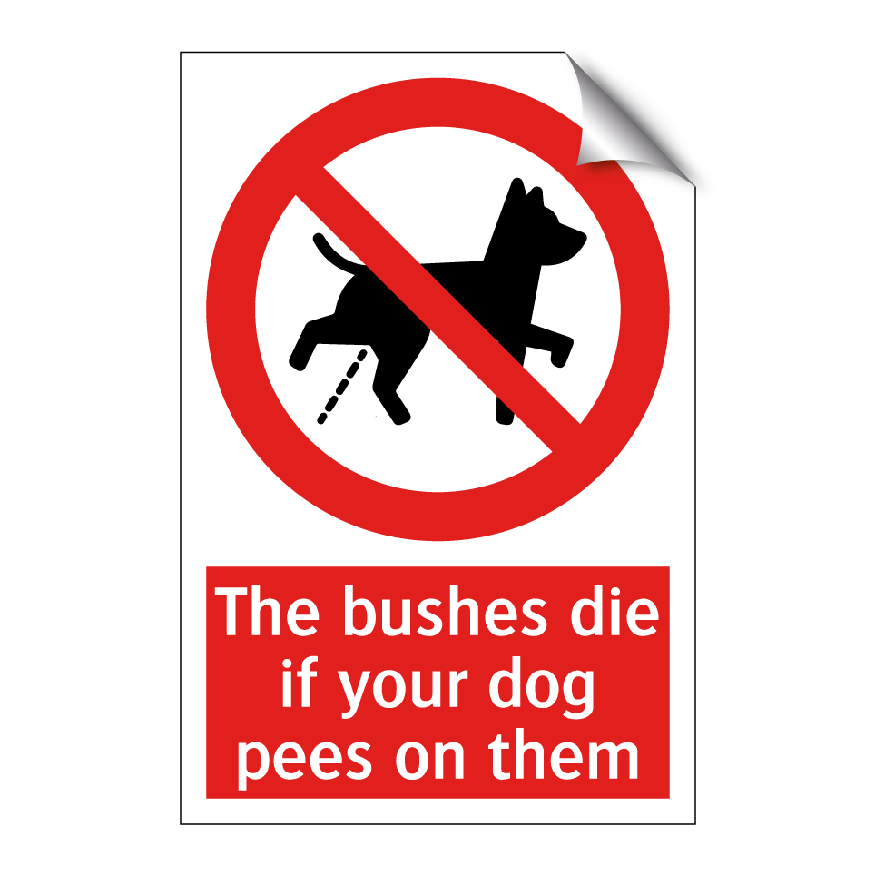The bushes die if your dog pees on them