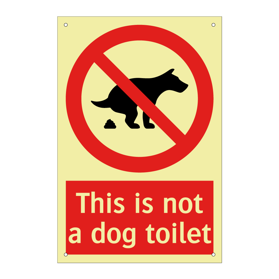 This is not a dog toilet