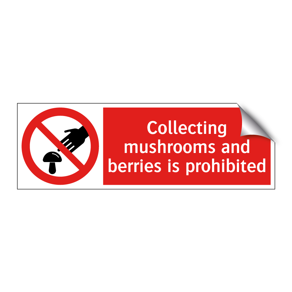 Collecting mushrooms and berries is prohibited