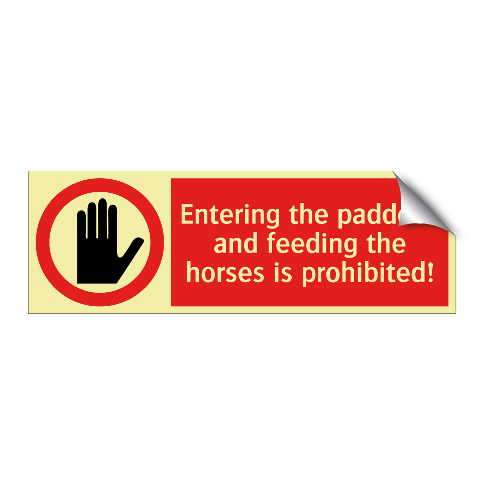 Entering the paddock and feeding the horses is prohibited!