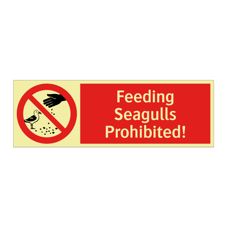 Feeding Seagulls Prohibited!
