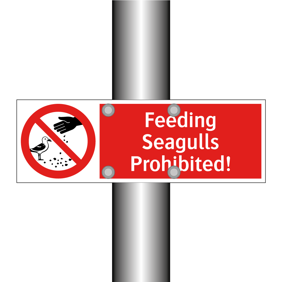 Feeding Seagulls Prohibited!