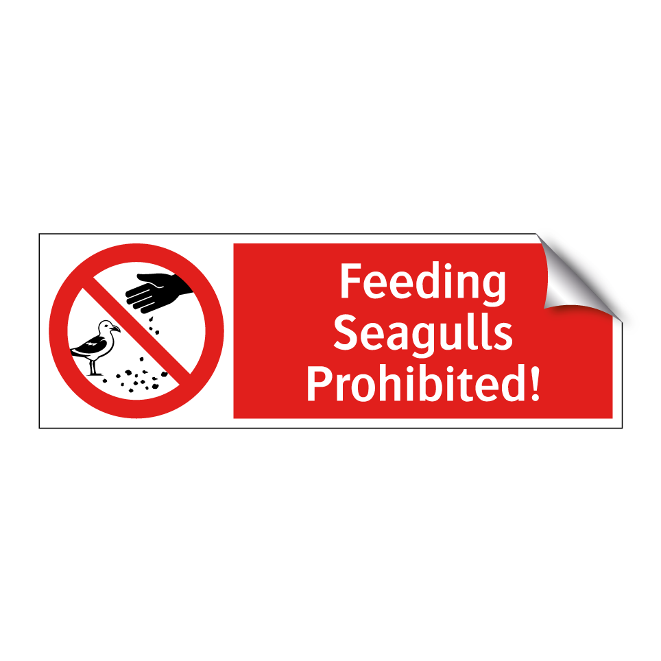 Feeding Seagulls Prohibited!