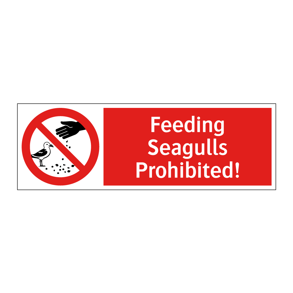 Feeding Seagulls Prohibited!