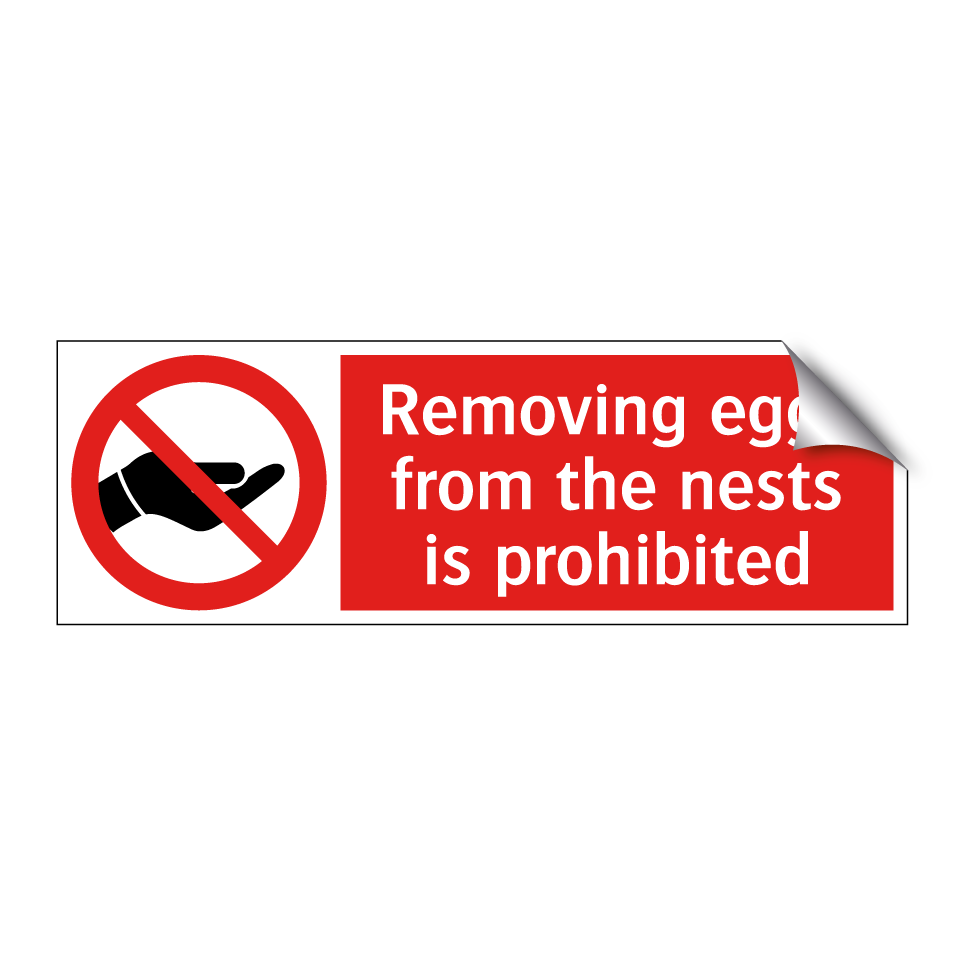 Removing eggs from the nests is prohibited