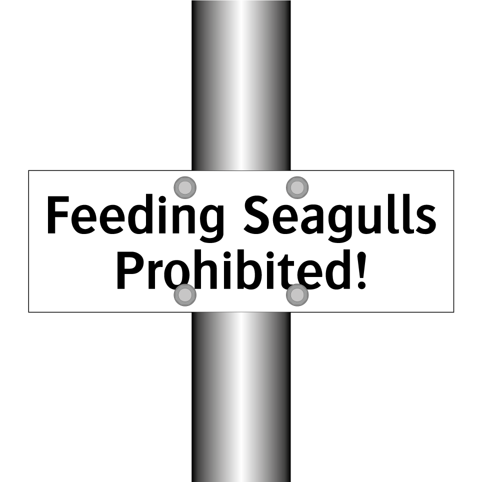 Feeding Seagulls Prohibited!