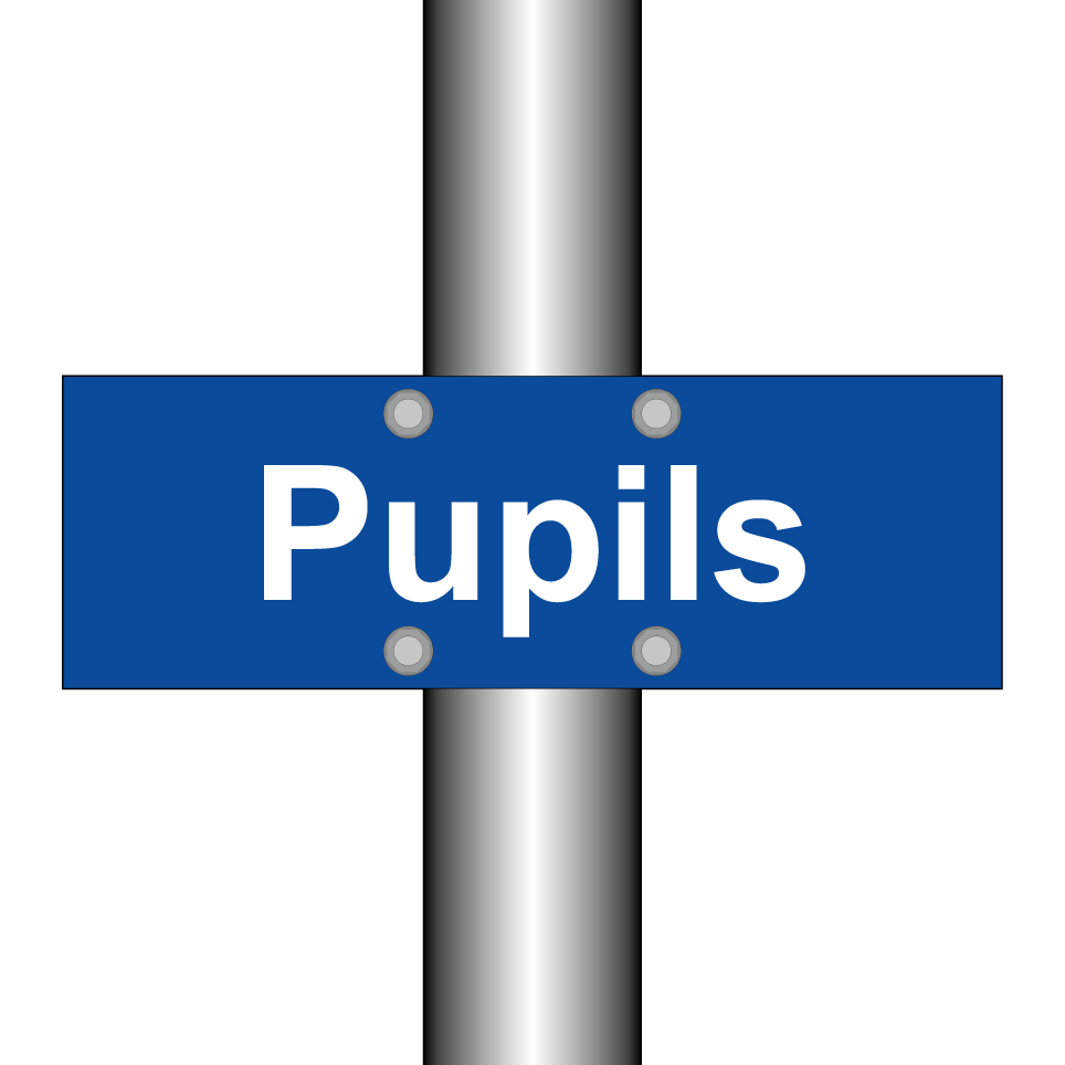 Pupils
