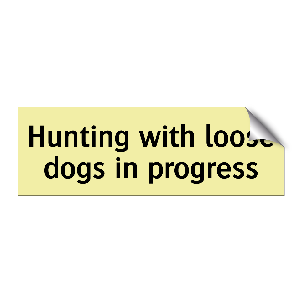 Hunting with loose dogs in progress
