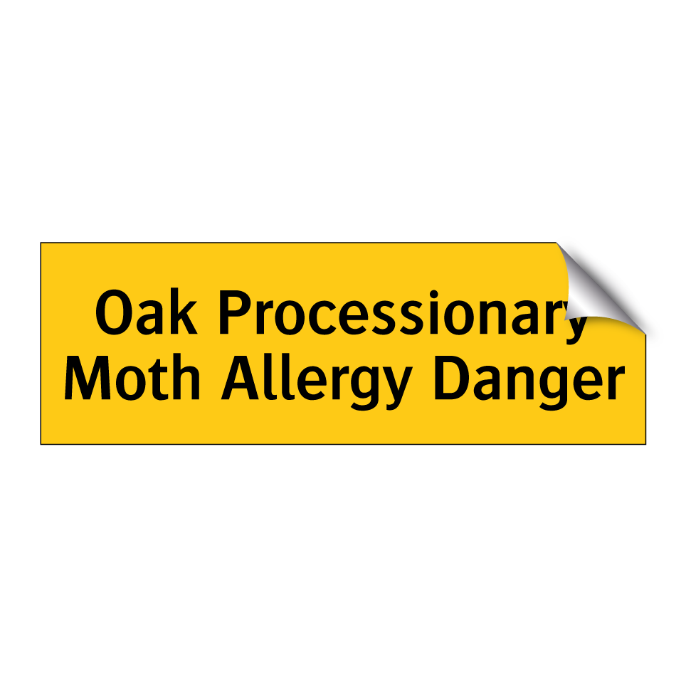 Oak Processionary Moth Allergy Danger