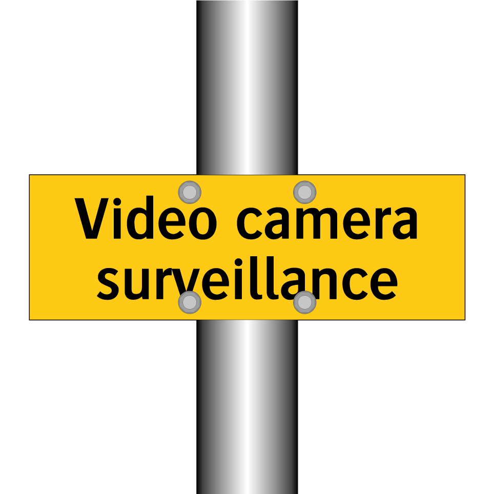 Video camera surveillance