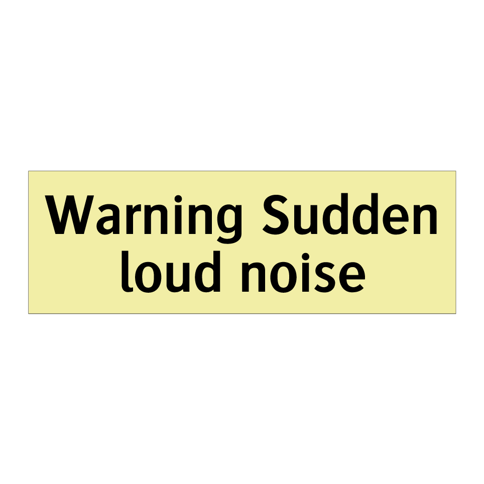 Warning Sudden loud noise