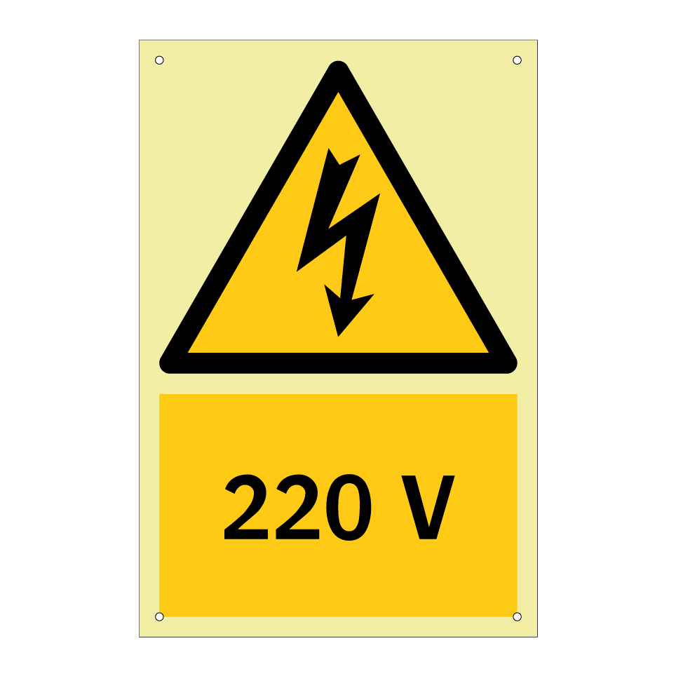220 V
