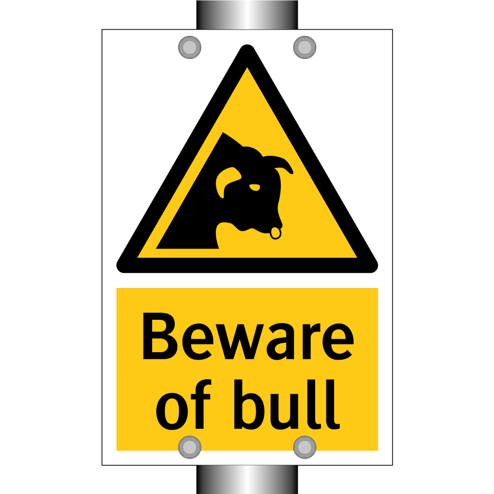 Beware of bull