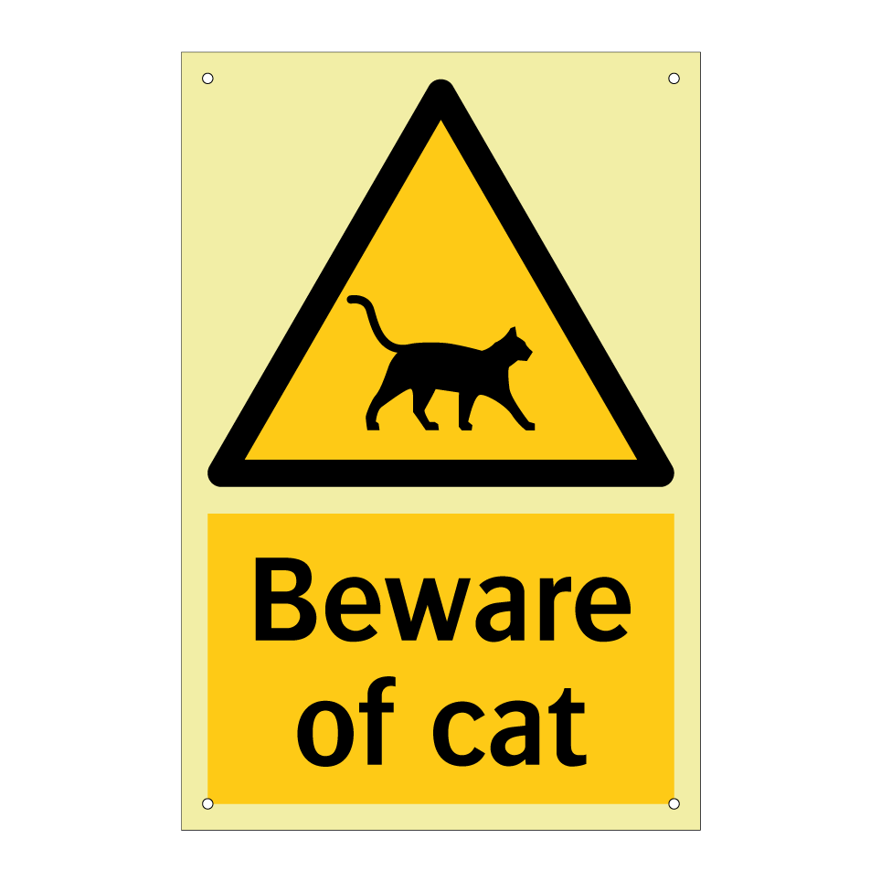 Beware of cat