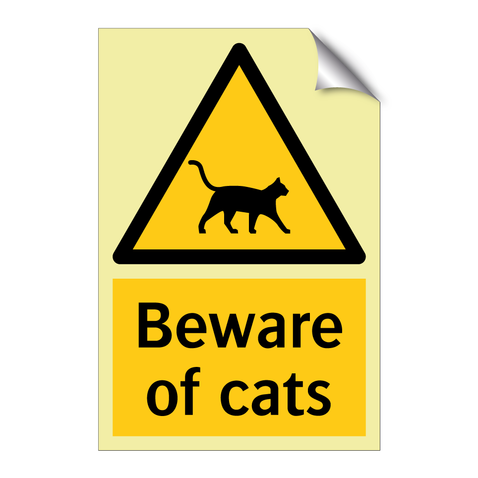 Beware of cats