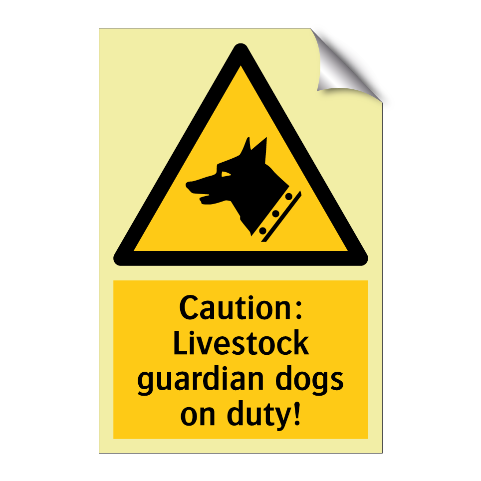 Caution: Livestock guardian dogs on duty!