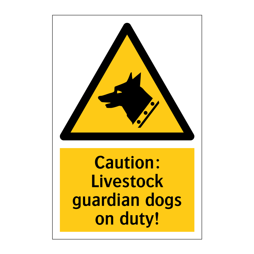 Caution: Livestock guardian dogs on duty!