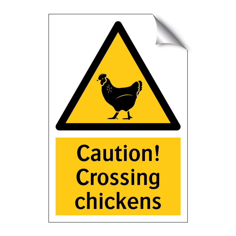Caution! Crossing chickens