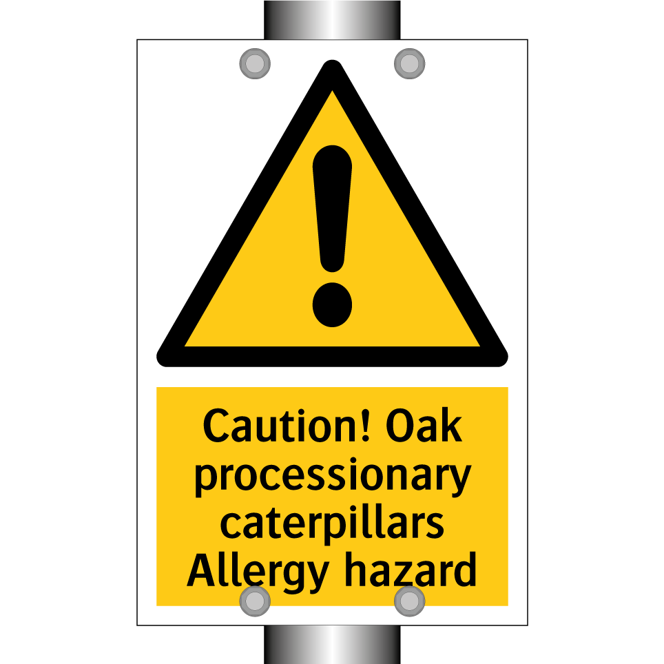 Caution! Oak processionary caterpillars Allergy hazard