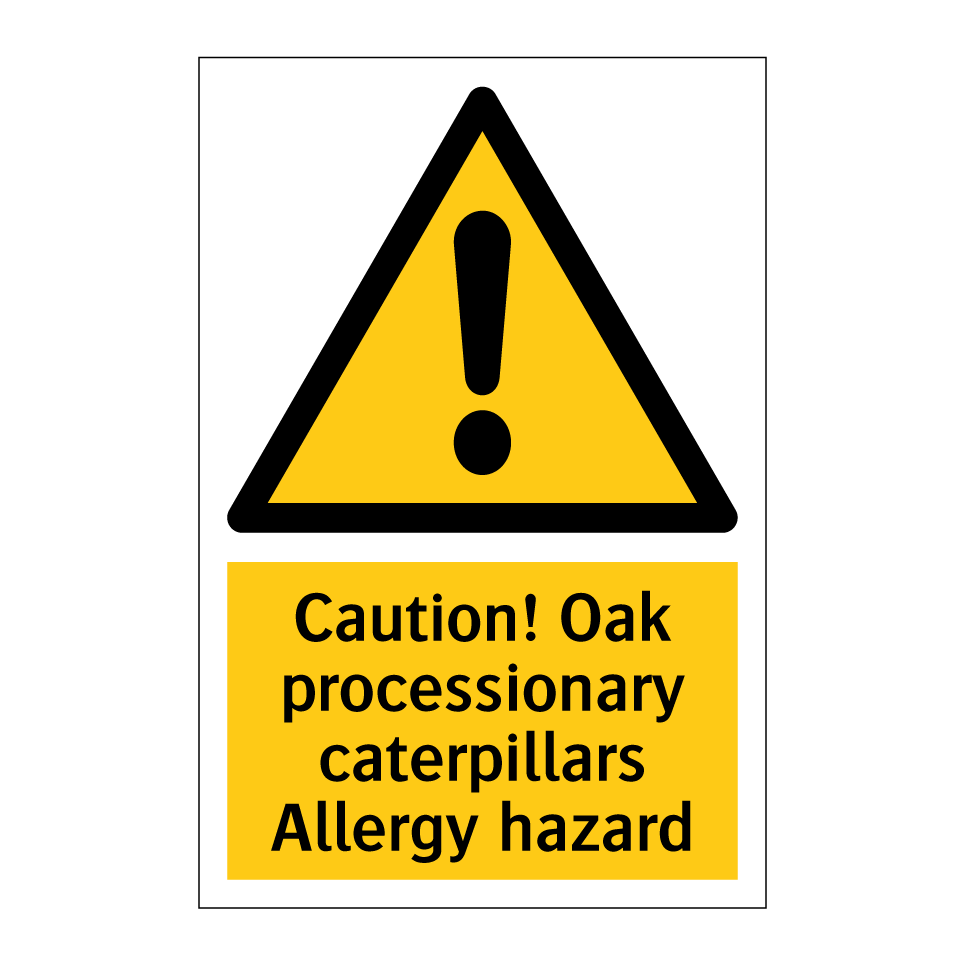 Caution! Oak processionary caterpillars Allergy hazard
