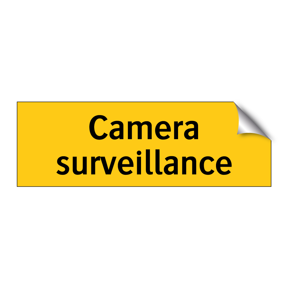 Camera surveillance