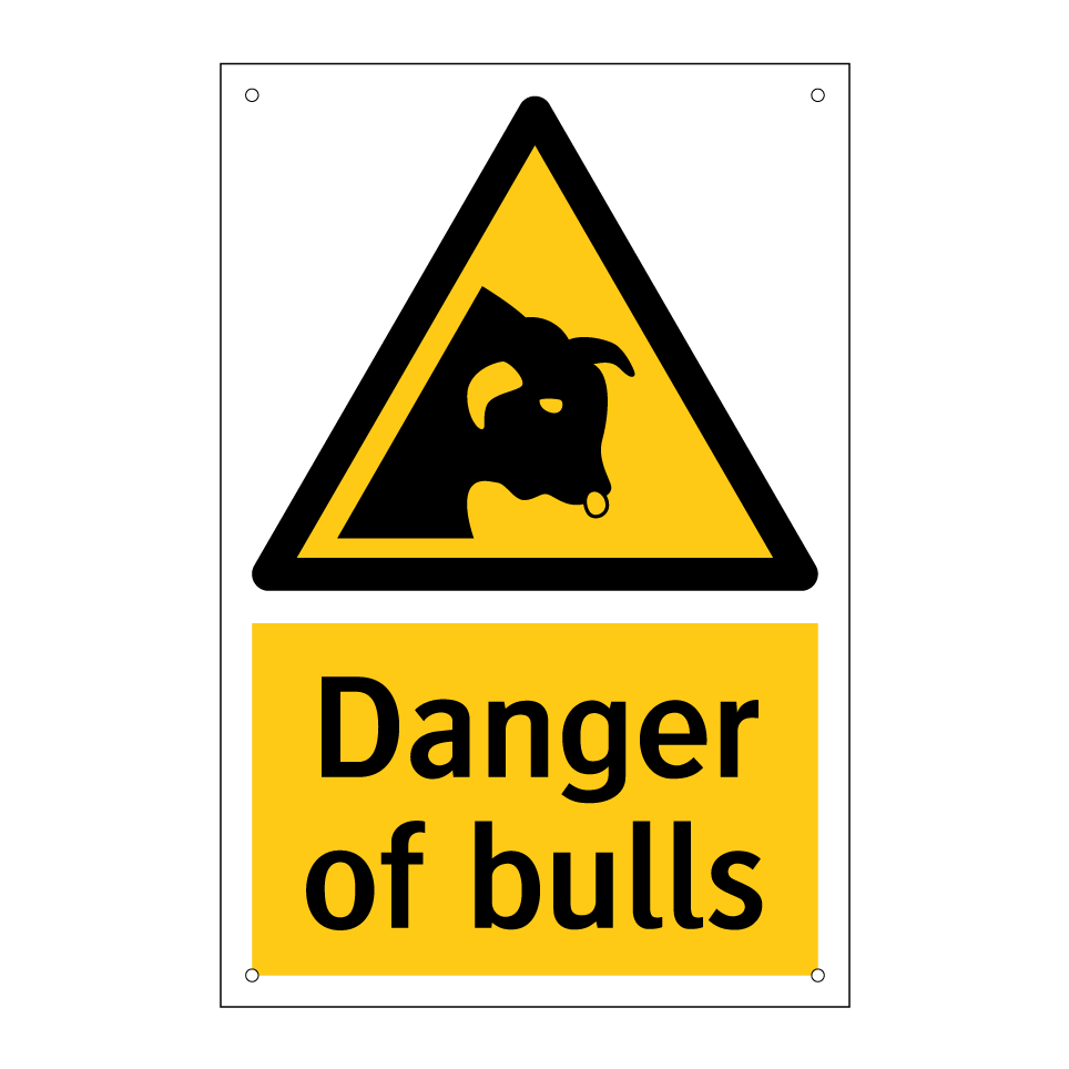 Danger of bulls