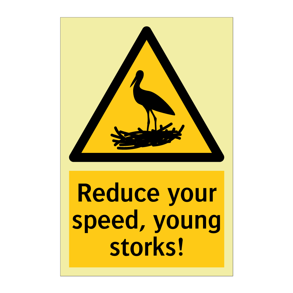 Reduce your speed, young storks!