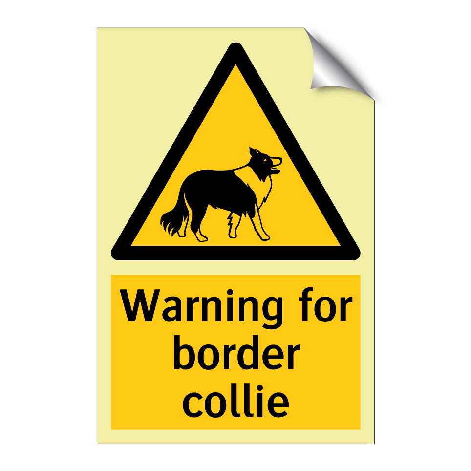 Warning for border collie