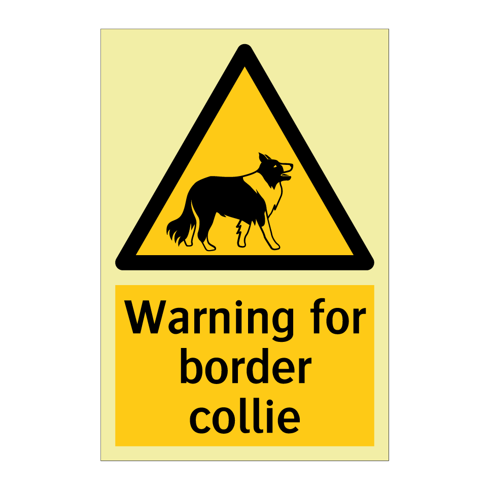 Warning for border collie