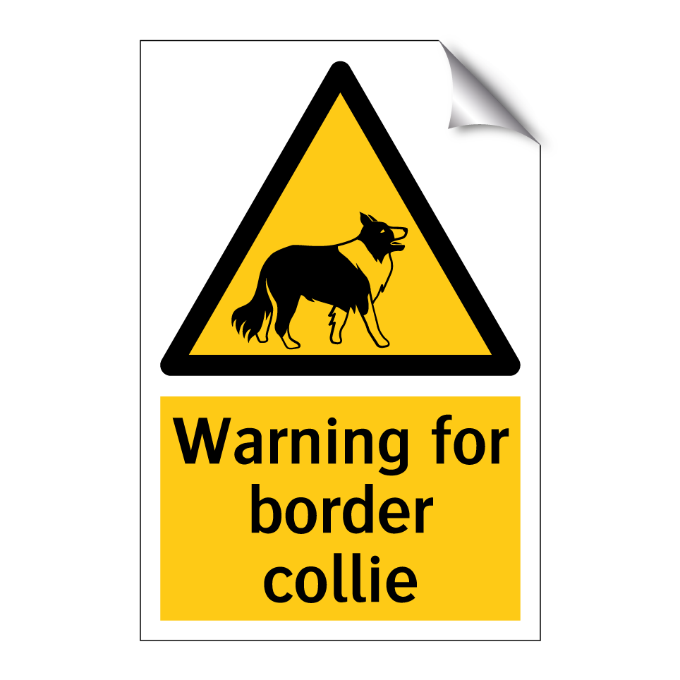 Warning for border collie