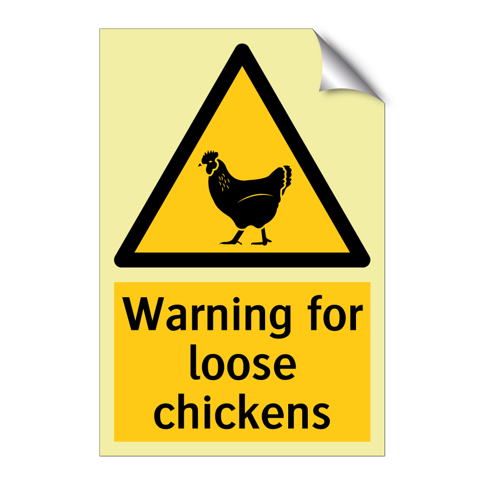 Warning for loose chickens