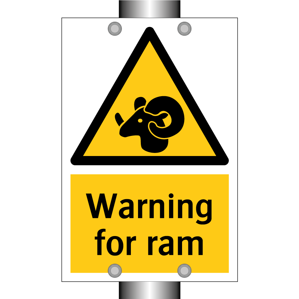 Warning for ram