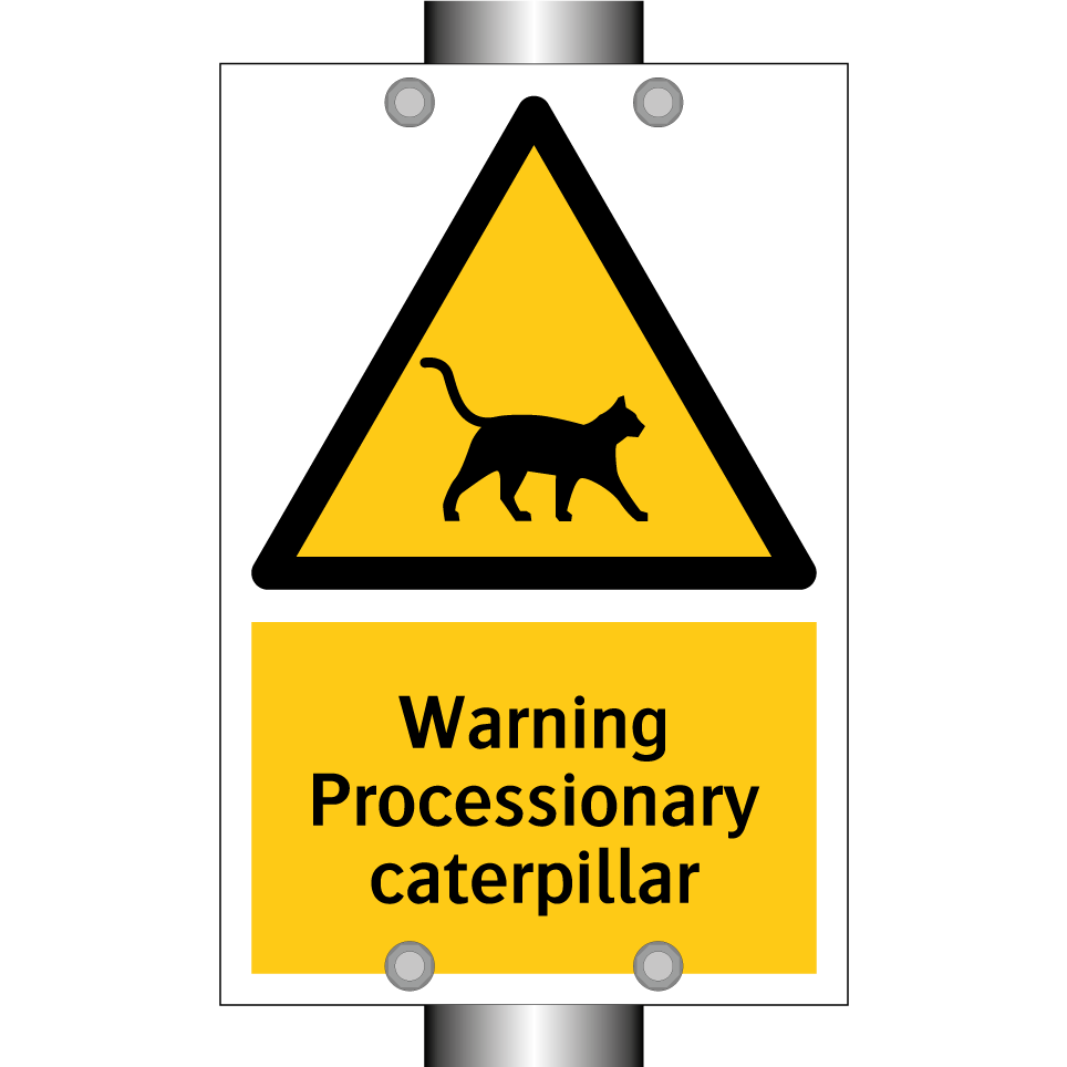 Warning Processionary caterpillar