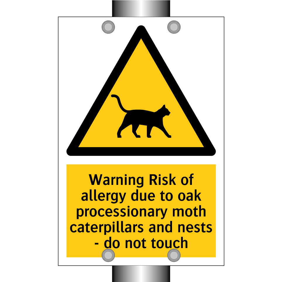 Warning Risk of allergy due to oak processionary moth caterpillars and nests - do not touch