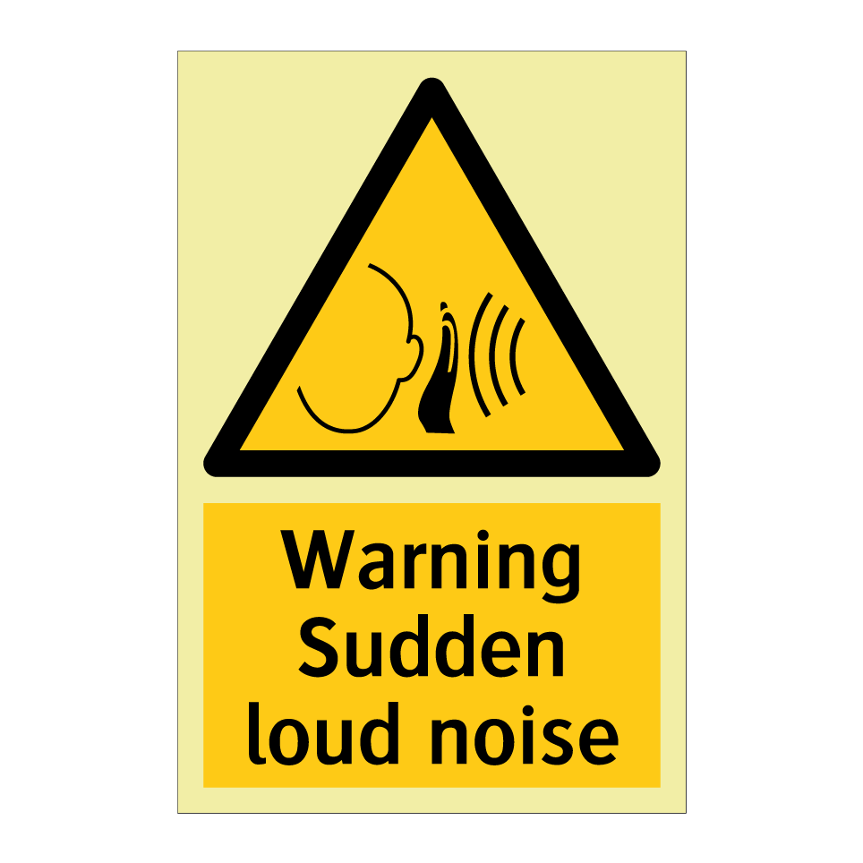 Warning Sudden loud noise