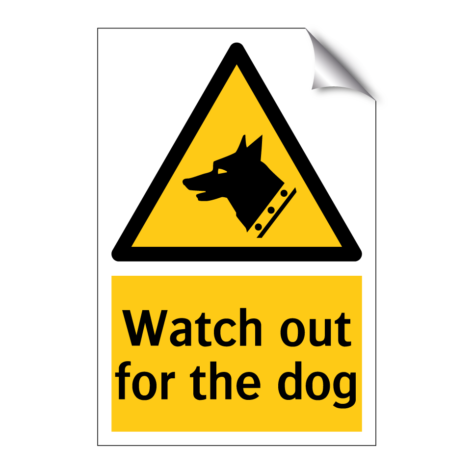Watch out for the dog
