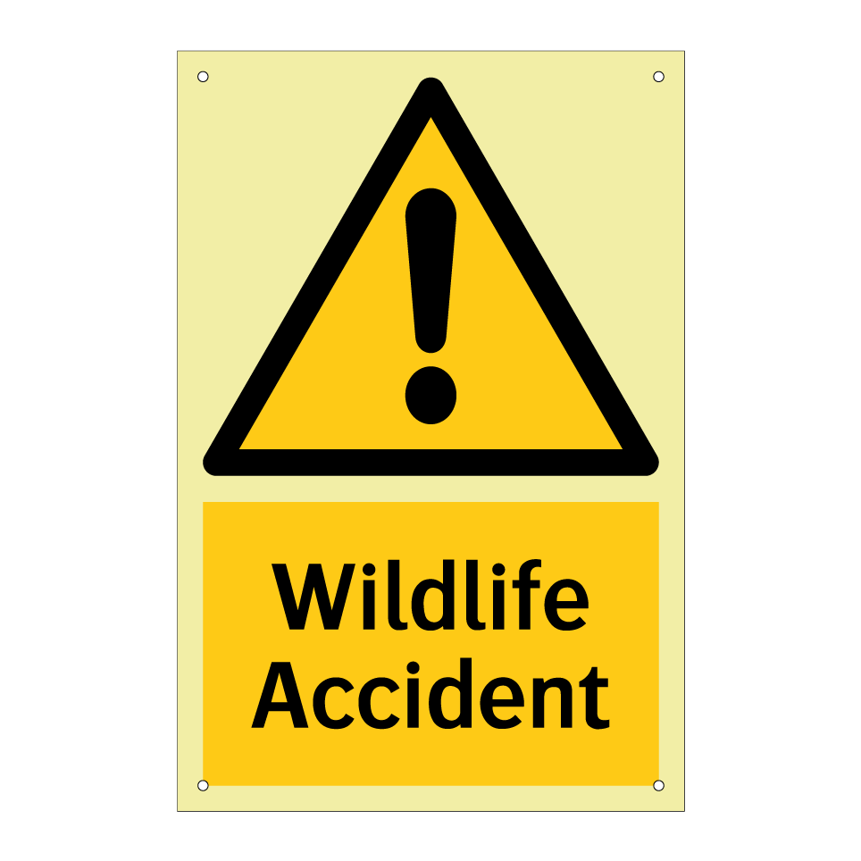 Wildlife Accident